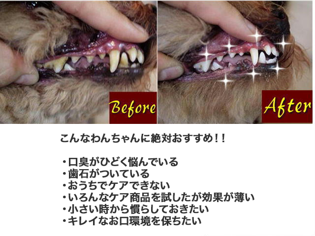 歯が綺麗になる画像